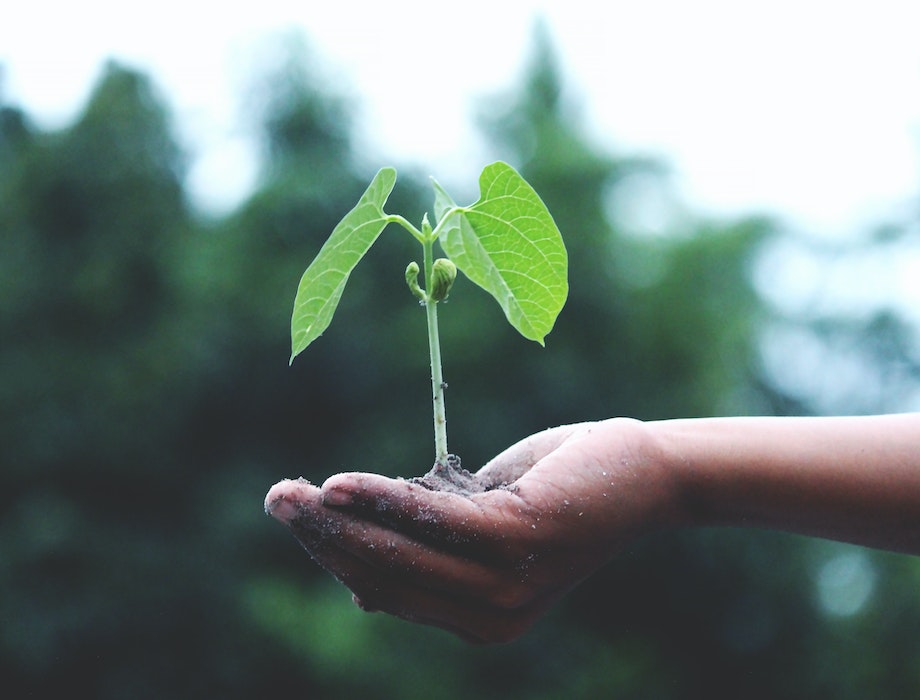 Green Angel Ventures invests in soil health company