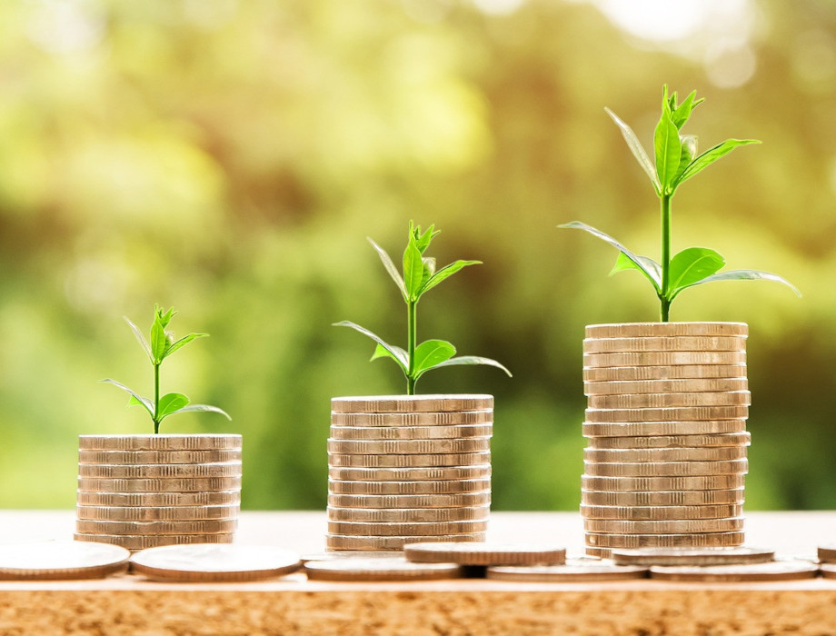 Down trajectory in EIS HMRC data hides regional growth