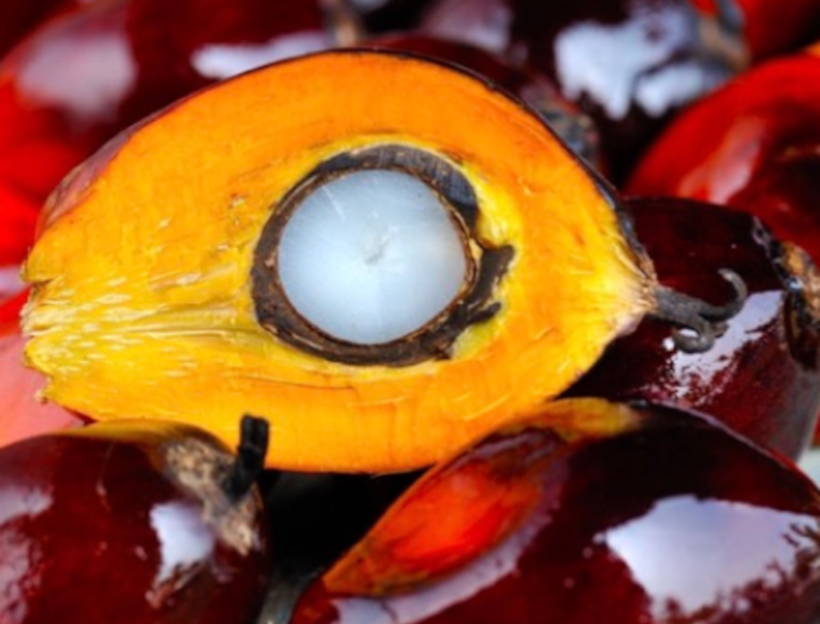 British food-tech start-up to bring revolutionary palm oil alternative to market