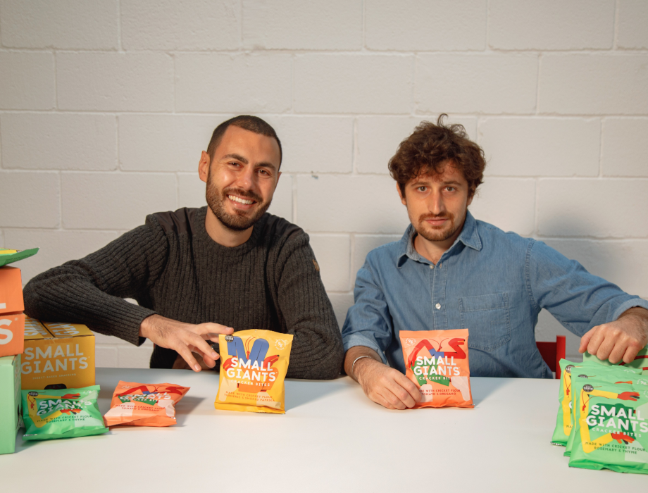 Insect-based snack company completes investment round of over £400k