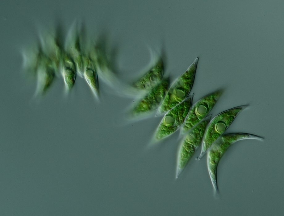 ‘Green’ water treatment firm raises £2.3m to accelerate growth