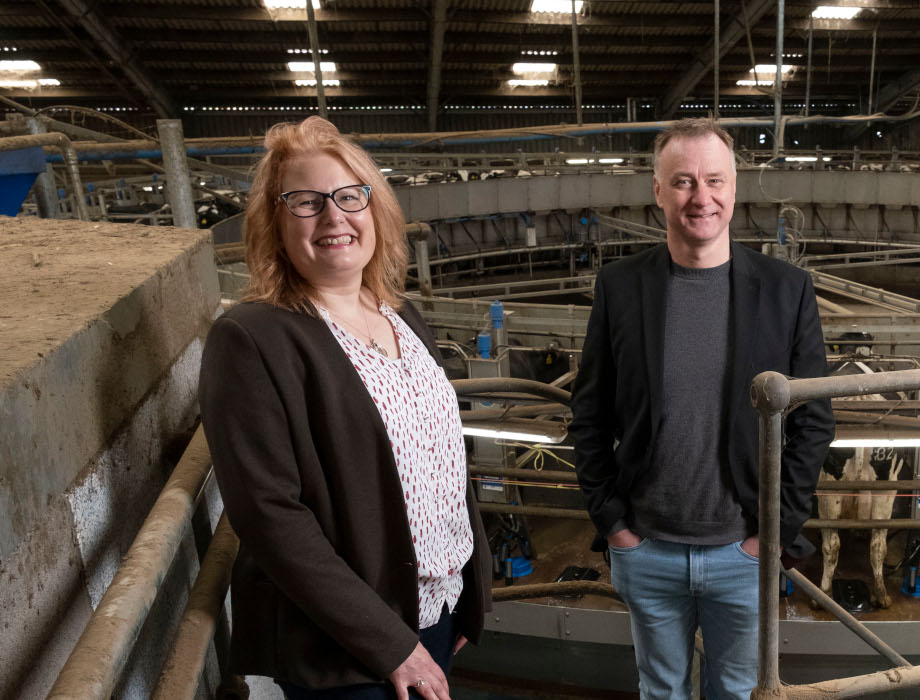 Biotangents secures £2.2m to accelerate rapid disease detection tech