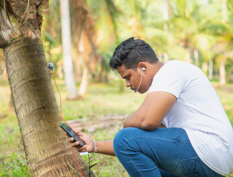 Agritech startup Permia Sensing raises £150k from British Design Fund