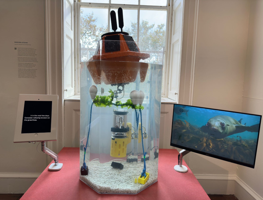 Samudra Oceans secures £800k for innovative sea farming robots