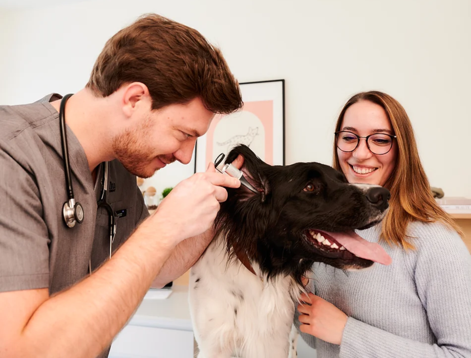 DN Capital co-leads €5.1m funding in ‘PetTech’ startup filu