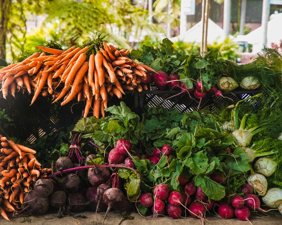 Fischer Farms to launch world's largest vertical farm