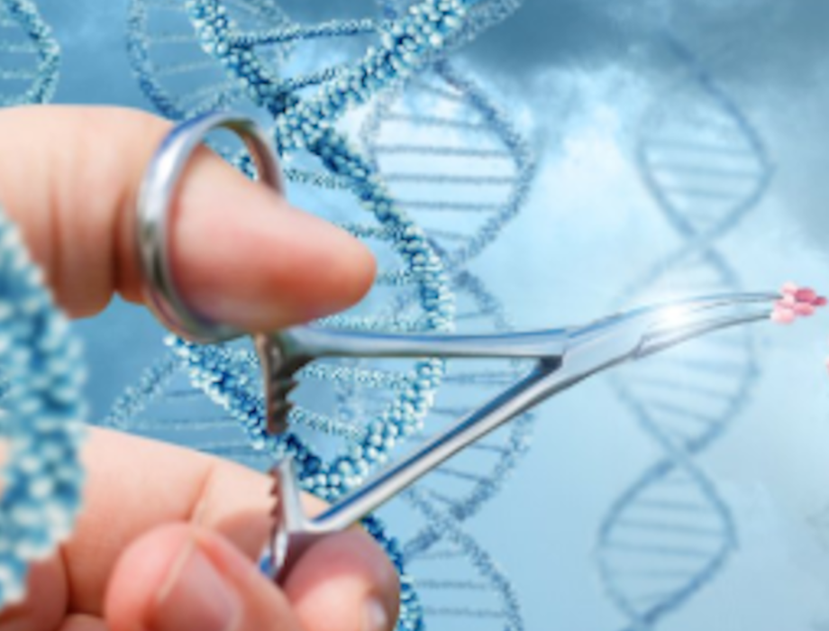 o2h Ventures makes an investment in Pencil Biosciences a novel gene modulation biotech