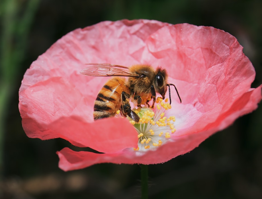 Climate-Tech innovators AgriSound secure funding via Anglia Capital 