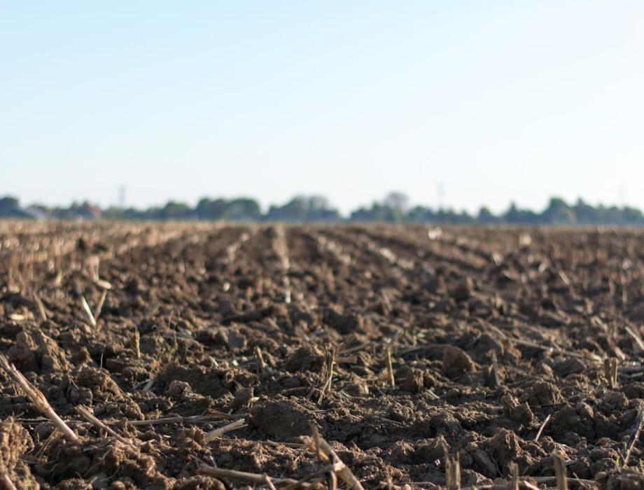 Agritech start up Elaniti secures scale up funding