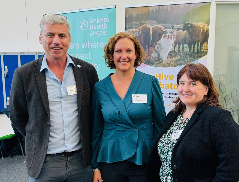 Animal Health Angels backs MI:RNA Diagnostics $4 million Series A