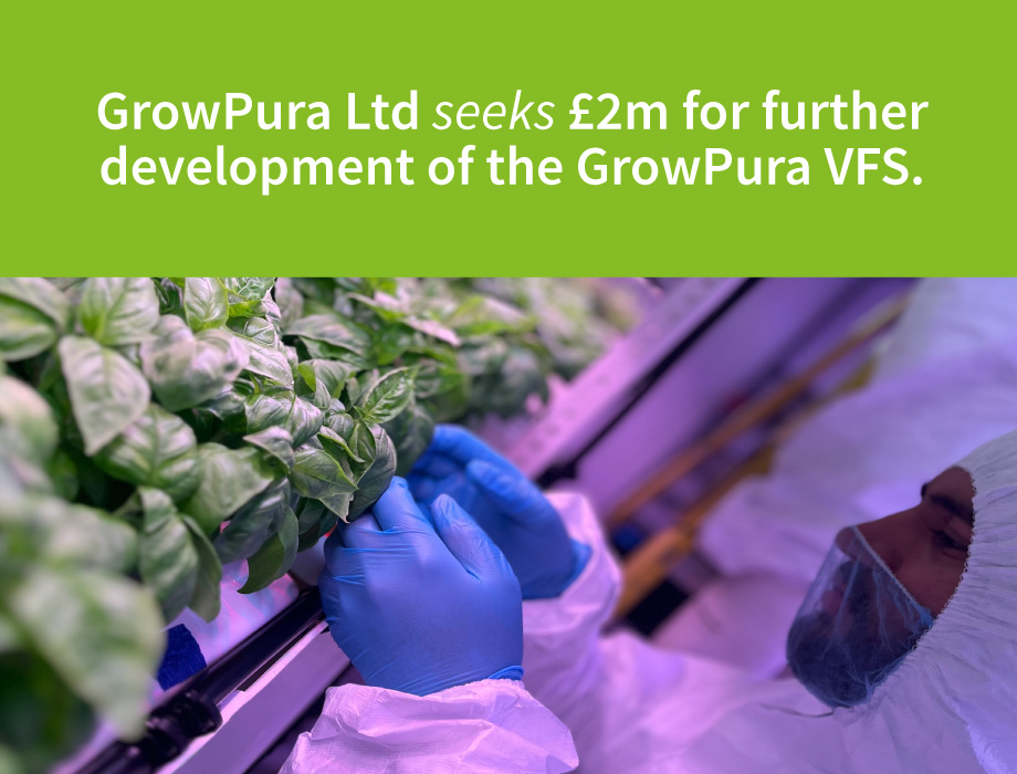 Vertical Farm startup GrowPura seeks £2m funding
