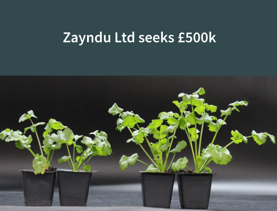 Zayndu is seeks £500,000 equity